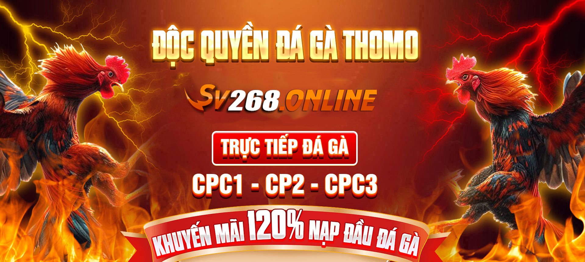 banner-sv268.online